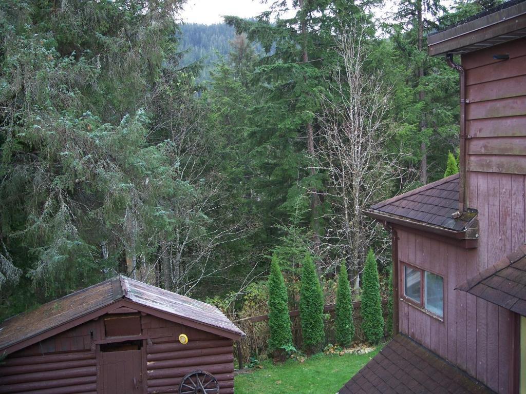 Tall Trees Bed & Breakfast Bed and Breakfast Prince Rupert Kamer foto